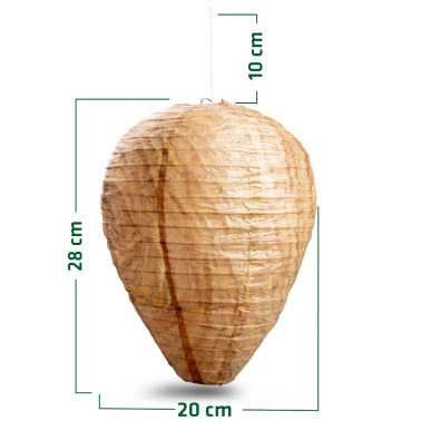 Nidi Finti di Vespe - Premium