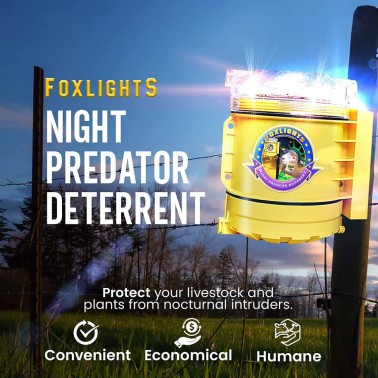 FoxLights Deterrente per Predatori Notturni